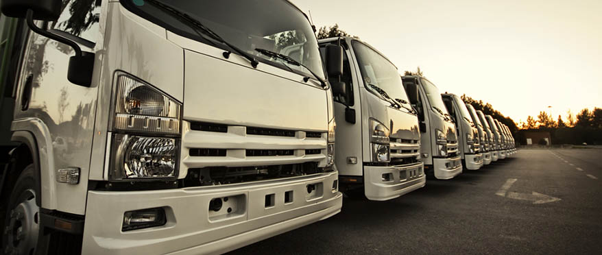 NTG Slides Between Old Guard and Freight-Forwarding Disruptors