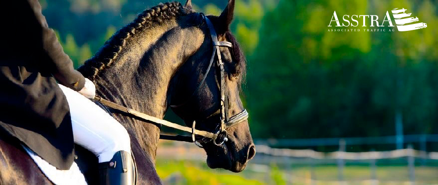 Advancing Para-Equestrian in Kazakhstan